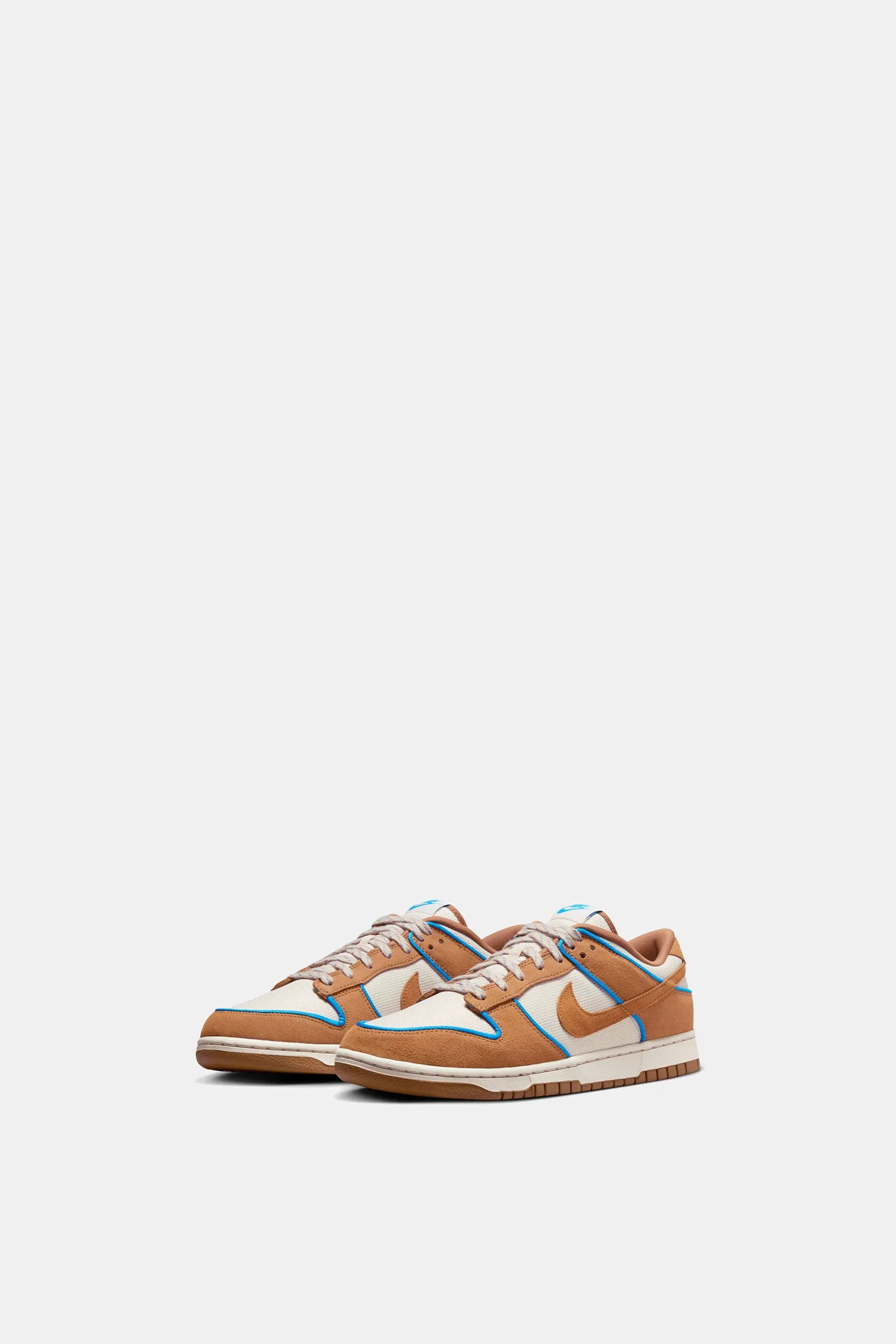 Nike Dunk Low Retro Prm